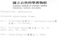 粗葉泥炭蘚藏品圖，第2張