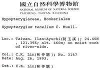 南亞孔雀蘚藏品圖，第2張