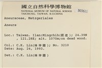 登錄號:B00003611藏品圖，第2張