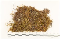 登錄號:B00003622藏品圖，第1張