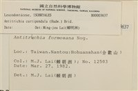 臺灣逆毛蘚藏品圖，第2張