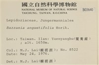 登錄號:B00003640藏品圖，第2張