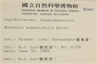 登錄號:B00003642藏品圖，第2張