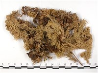 登錄號:B00003644藏品圖，第1張
