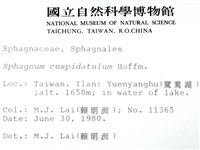 登錄號:B00003645藏品圖，第2張