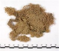 登錄號:B00003647藏品圖，第3張