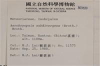 大灰氣蘚藏品圖，第2張