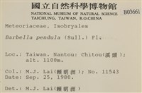 多疣懸蘚藏品圖，第2張