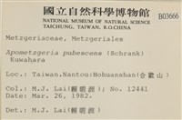 毛擬叉苔藏品圖，第2張