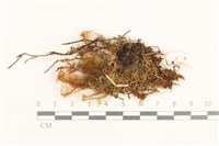 登錄號:B00003698藏品圖，第1張