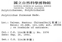 擬金髮蘚藏品圖，第2張