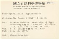 登錄號:B00003777藏品圖，第2張