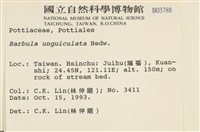 扭口蘚藏品圖，第2張