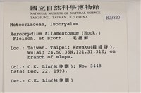 毛扭蘚藏品圖，第2張