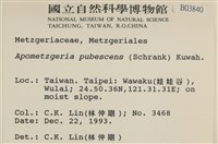 毛擬叉苔藏品圖，第2張