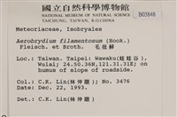 毛扭蘚藏品圖，第2張