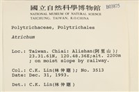 登錄號:B00003875藏品圖，第2張