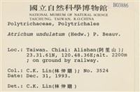 仙鶴蘚藏品圖，第2張