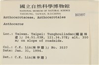 登錄號:B00003897藏品圖，第2張