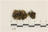 登錄號:B00003897藏品圖，第1張