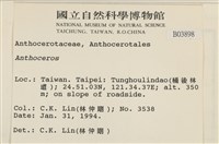 登錄號:B00003898藏品圖，第2張