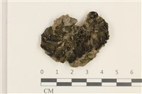 登錄號:B00003898藏品圖，第1張