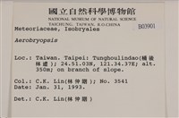 登錄號:B00003901藏品圖，第2張