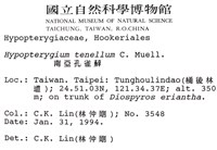 南亞孔雀蘚藏品圖，第2張