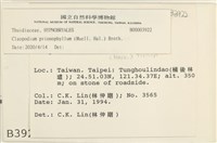 登錄號:B00003922藏品圖，第2張