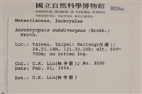 大灰氣蘚藏品圖，第2張