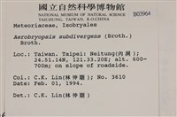 大灰氣蘚藏品圖，第2張