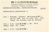 登錄號:B00003966藏品圖，第2張