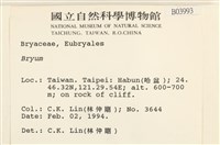 登錄號:B00003993藏品圖，第2張