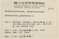 登錄號:B00003994藏品圖，第2張