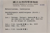 大灰氣蘚藏品圖，第2張