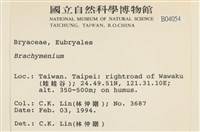 登錄號:B00004054藏品圖，第2張