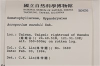 登錄號:B00004056藏品圖，第2張