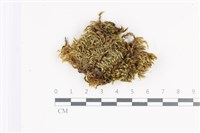 登錄號:B00004056藏品圖，第1張