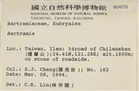 登錄號:B00004070藏品圖，第2張