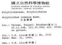 金髮蘚藏品圖，第2張