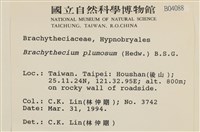 羽枝青蘚藏品圖，第2張