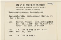 粗齒雉尾蘚藏品圖，第2張