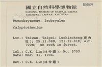 登錄號:B00004099藏品圖，第2張