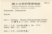 登錄號:B00004117藏品圖，第2張