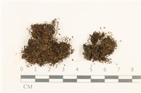 登錄號:B00004117藏品圖，第1張