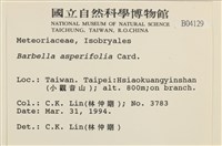 登錄號:B00004129藏品圖，第2張