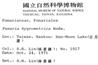 葫蘆蘚藏品圖，第2張