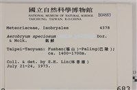 登錄號:B00004378藏品圖，第2張