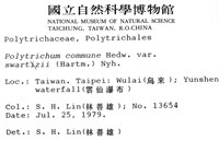 登錄號:B00004471藏品圖，第2張