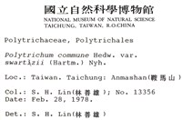 登錄號:B00004472藏品圖，第2張